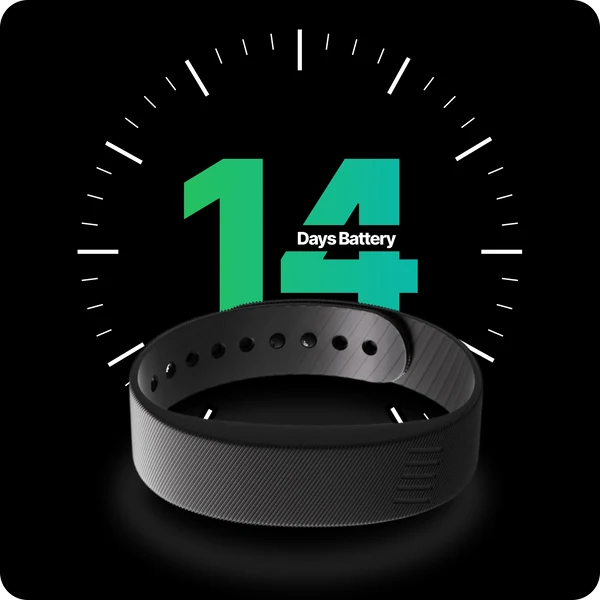 14+ Day Battery